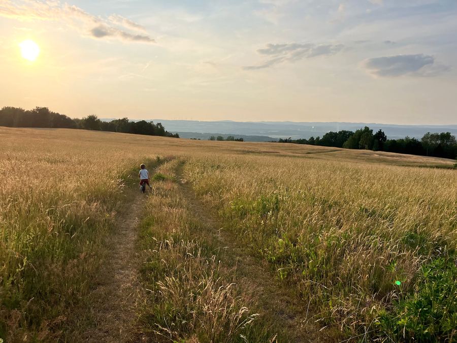 Pěšina vysokou trávou na louce, v dálce kopce